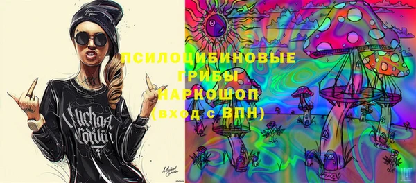 дживик Туринск