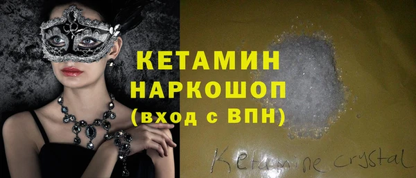 дживик Туринск