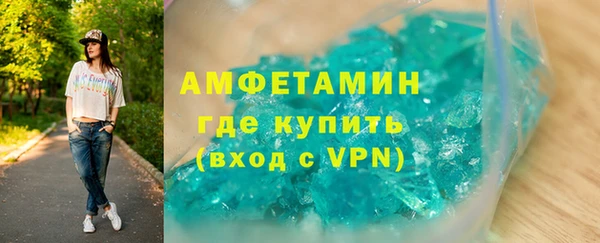 дживик Туринск