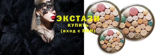 дживик Туринск