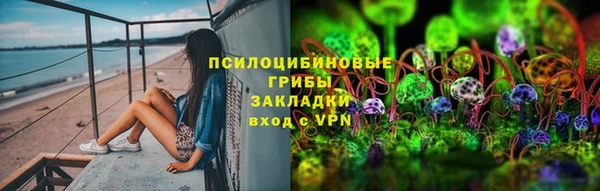 ешки Тында