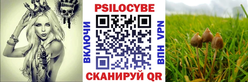 Галлюциногенные грибы MAGIC MUSHROOMS  Купить где  Мончегорск 
